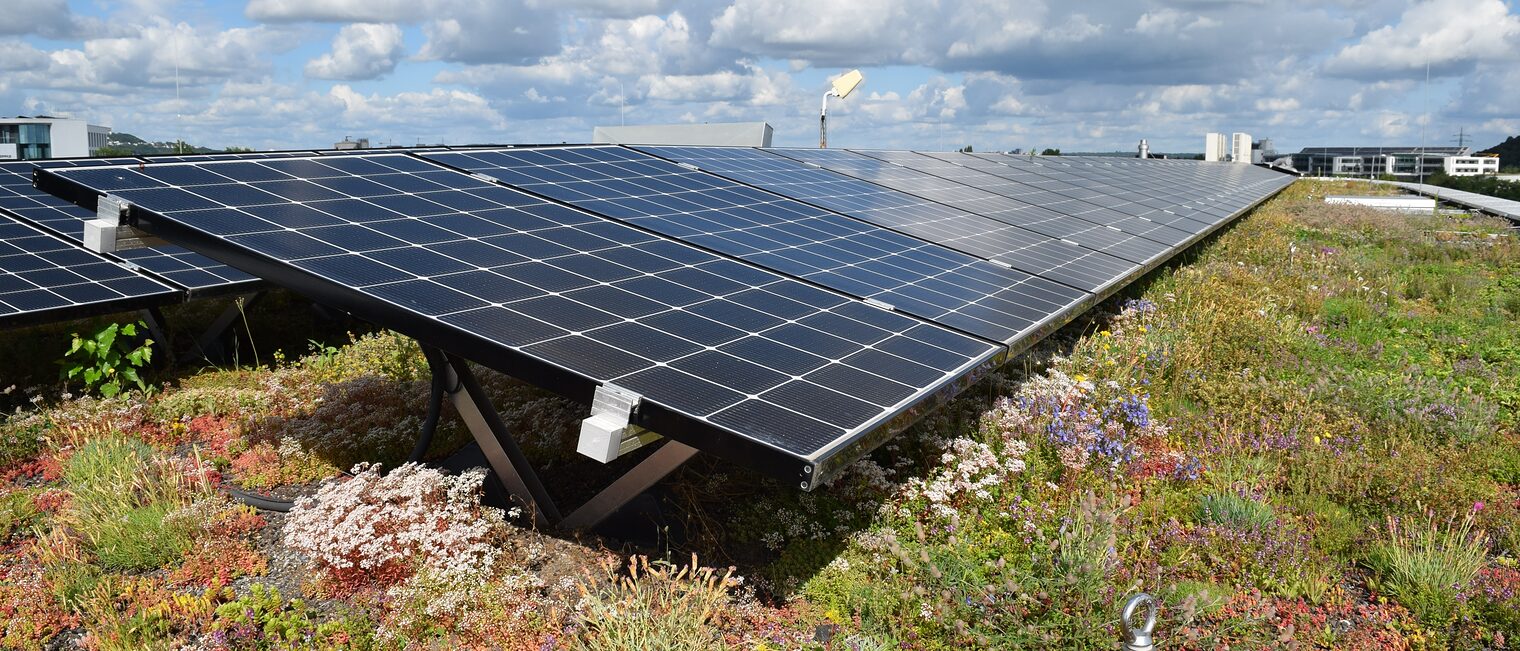 Titelbild Gründach-Photovoltaik_neu